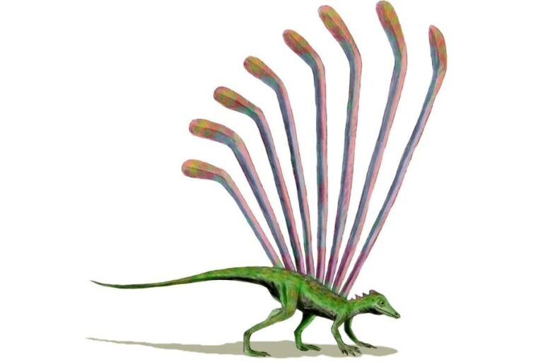 「子どものラクガキ!?奇妙な古代爬虫類」