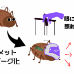 ed81e4d3e3f505f61d9f085264a59b31.png