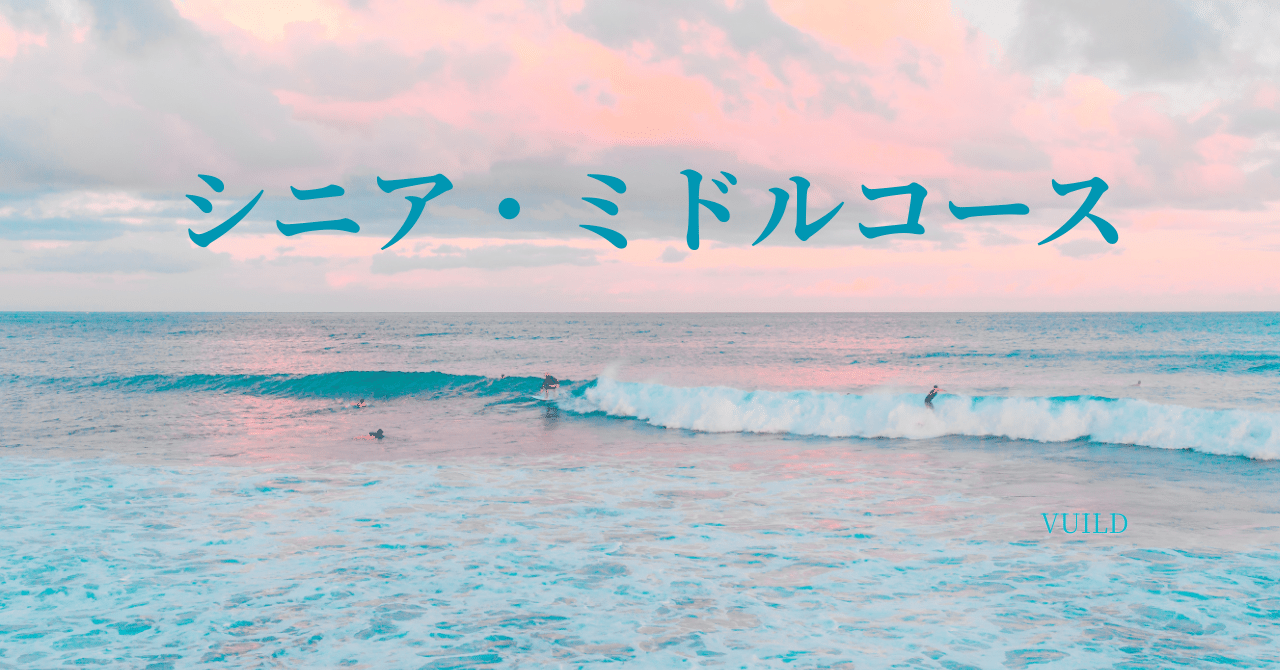 「VUILDリスキリング: シニア向け経営力アップ」
