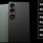 rectangle_large_type_2_d9b0459348c85f0b9fa187ac72e63007.jpeg