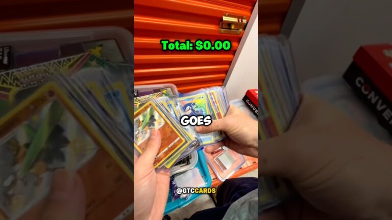 めちゃくちゃ素敵なポケモン保管庫を発見🤯😳 (@dealacent )