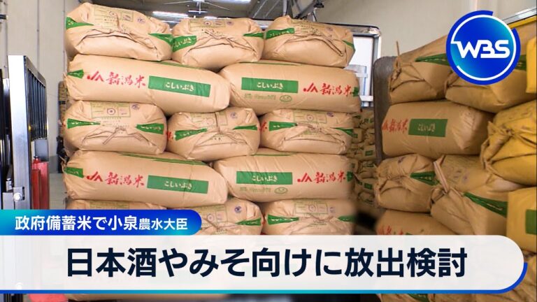 日本酒やみそ向けに放出検討　政府備蓄米で小泉農水大臣【WBS】