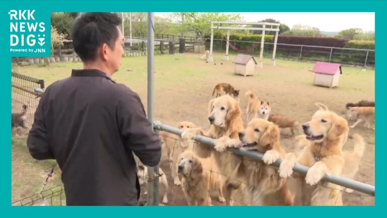 「24時間寄り添う」犬の介護施設 “老犬ホーム” の1日