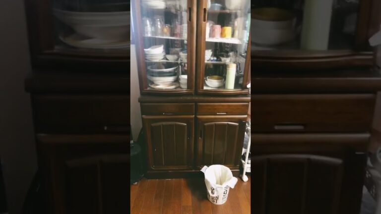 ？？？ #歌ってみた#shorts #ブルーアーカイブ #ボカロ #ヒカマニ #ネコムート #ヒカキン #memes #colonelkkjϟ