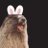 1749559290_197_以下のX（旧Twit.jpeg