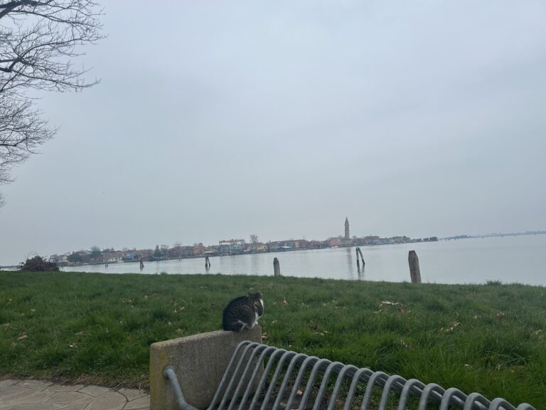 『岸部露伴』新作映画レビュー！