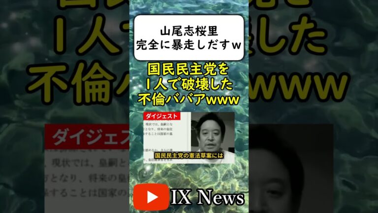 山尾志桜里、日本人じゃなかったｗｗｗ