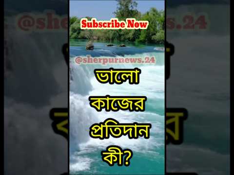 Islamic shorts: Explore the Beauty of Faith in Just 60 Seconds