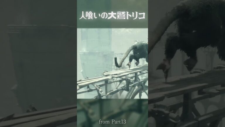 狭道　:13 【人喰いの大鷲トリコ】#ゲーム実況 #人喰いの大鷲トリコ #thelastguardian