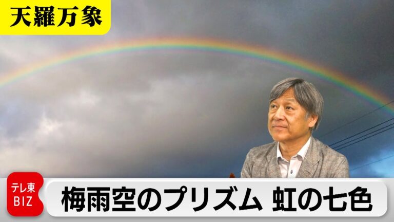 梅雨空のプリズム 虹の七色　いま一度空を見上げてみよう！【久保田解説委員の天羅万象】（224）