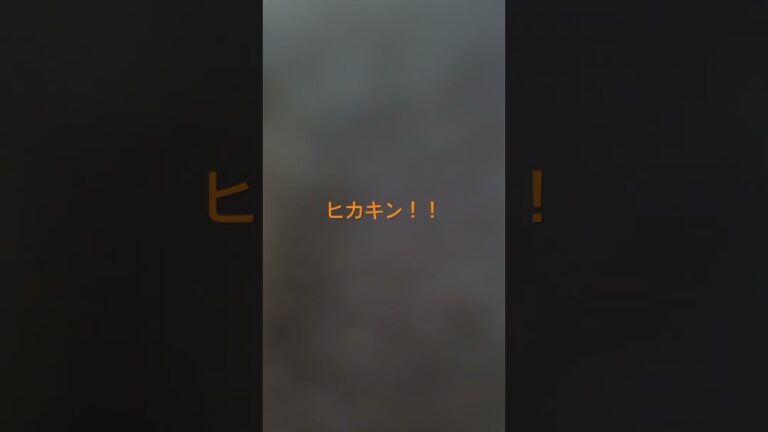 #ヒカキン  @HikakinTV  @HikakinTV #ヒカキン #みそきん #セイキン