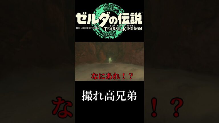 #Shorts #ゼルダの伝説 #ティアキン #コルテン #クリーチャー #サトリ #マヨイの落し物 #兄弟 #撮れ高 #任天堂 #Nintendo
