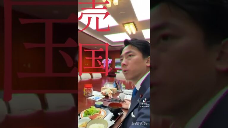 ナニカガオカシイ #売国政権 #所得税 #日本 #税金 #memes #ヒカキン #選挙 #ヒカマニ #アート #騙されるな