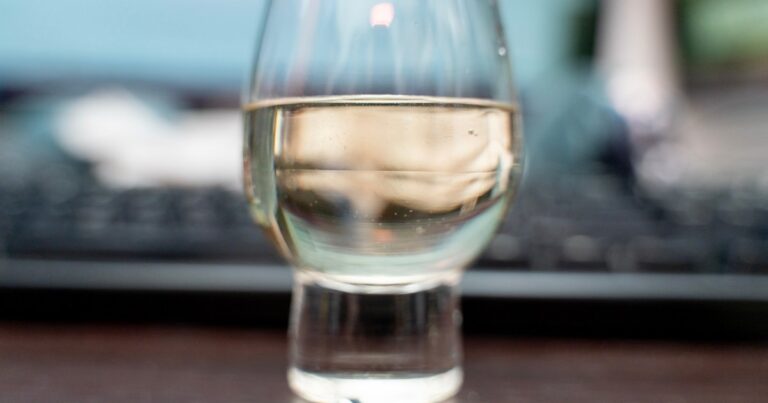 【美味すぎる】カルディ店員に勧められた酒が最高すぎて、10分で飲み干しかけて15分後にリピ買いした / 夏に飲める液体で1番美味い