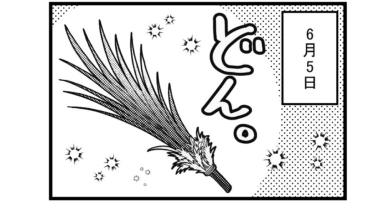 【エッセイ漫画】日々限界集落 623話目「菖蒲湯」