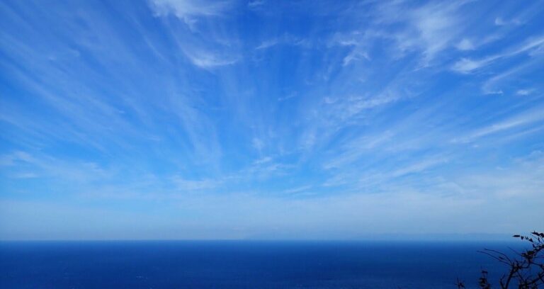 「VBA歴24年のプロが業務効率化！データ処理を簡単に解放します。」