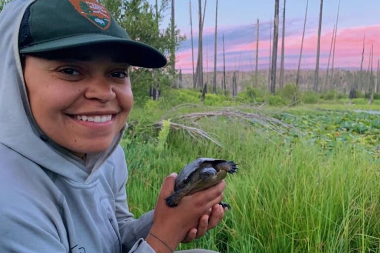 「1万6000匹ウシガエル駆除成功！カメ復活」