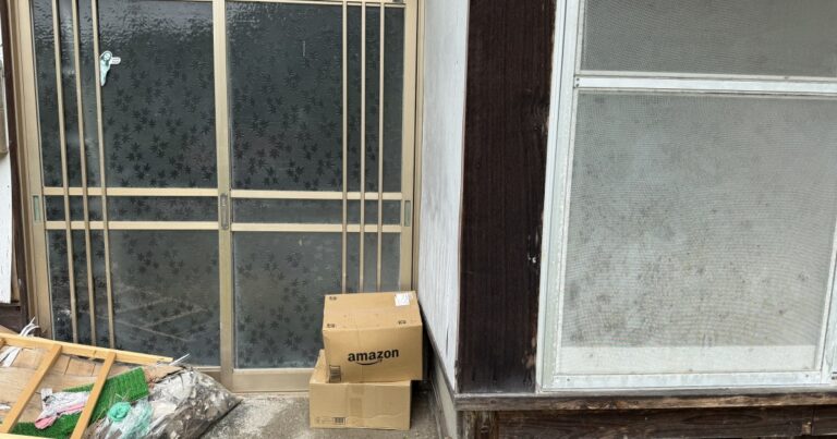 【続・カメムシ闘争】玄関を開けた瞬間 “嬉しい違和感”。しかしその後、不意に落ちた / 100万円の古民家66