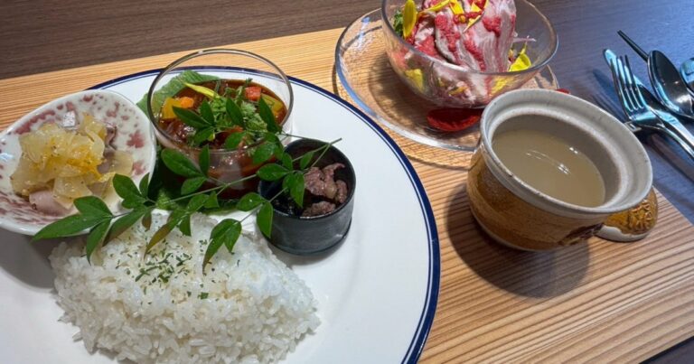 【最強】「介護食を食べてみたい」と軽い気持ちで高齢者向け施設を訪問したら、ガチでレストランすぎて普通に注文してしまった