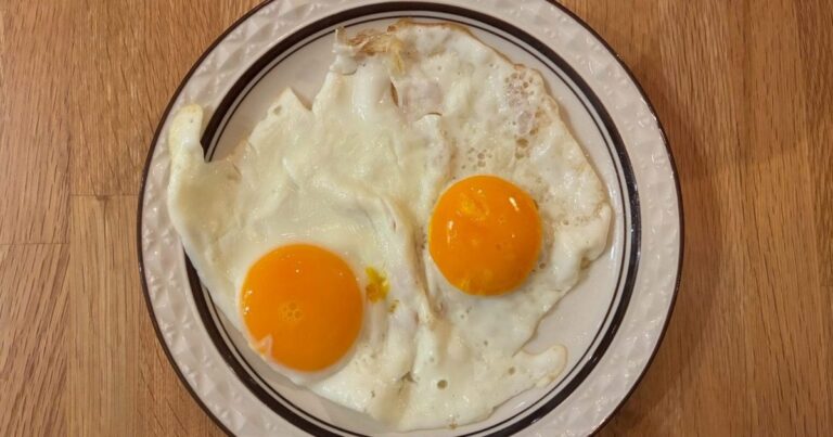 【幻の卵】黄身が2つの「二黄卵」が岐阜大学で買える!? 目玉焼きを焼いてみたら、双子を育てた気になった