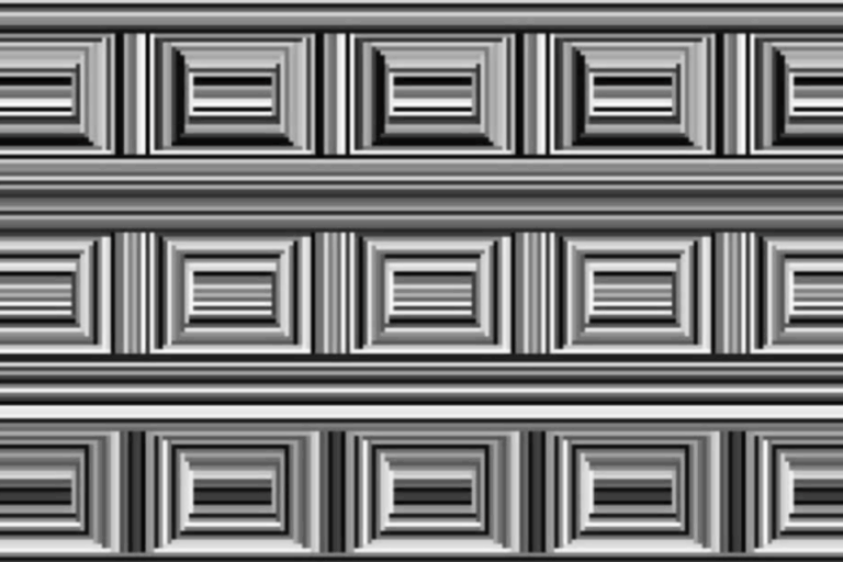 「育った環境で変わる視界：丸しか見えない人も！」