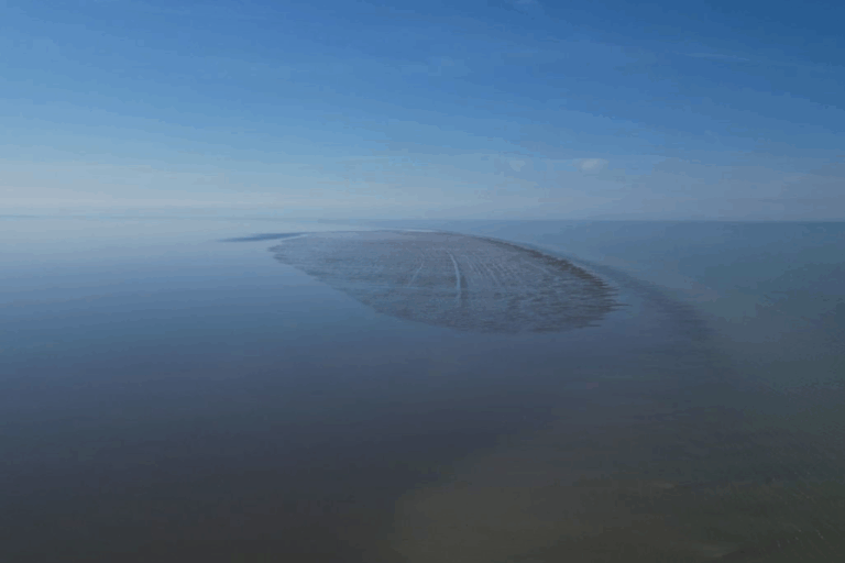 「カスピ海に新島！生物楽園の可能性」