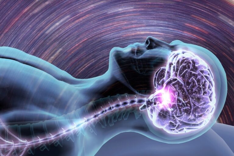 「寝不足後の深い眠り、科学が解明！」