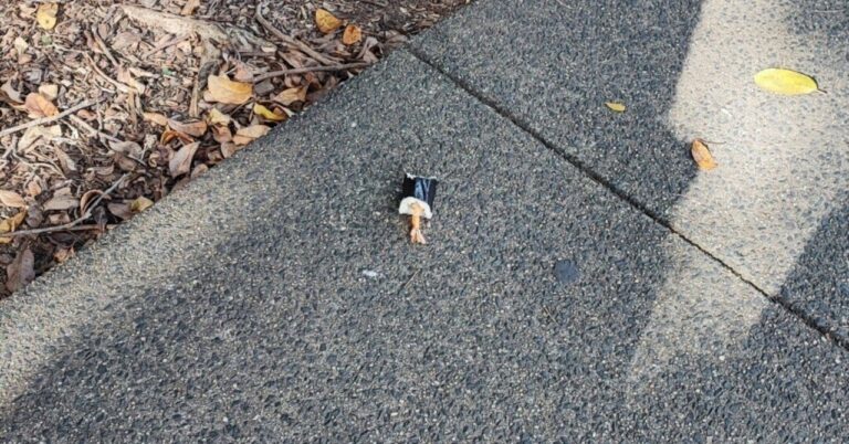 「元インフラエンジニアがRUNTEQで変革！」