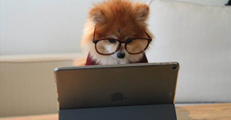 「プログラミング上達の秘訣5選」