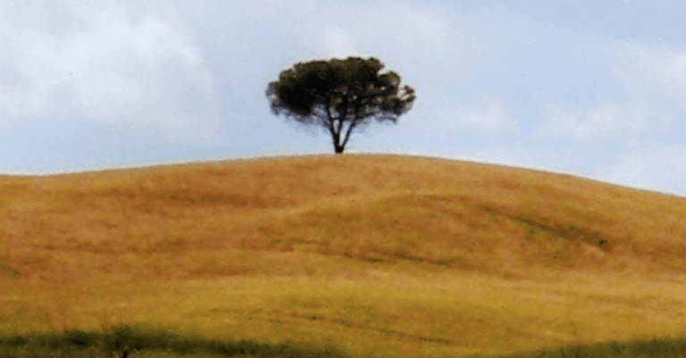 アマゾンプライムで観るフランス映画二選西願広望