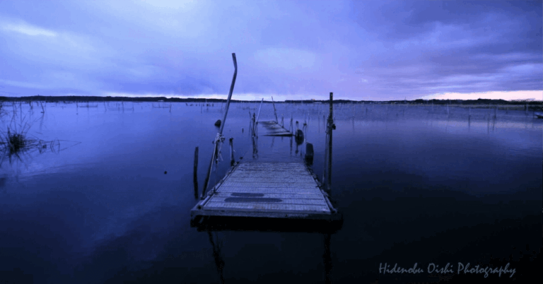 このサイテーな世界の終わりを視聴しましたくすのきたえこ