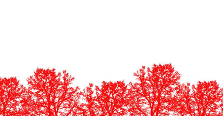 映画『国宝』（'25）。すごすぎるものを目にして熱苦しくなってしまった私の感想。fukamiさん