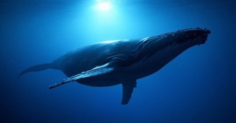 「転職で年収UP？厳しい現実」