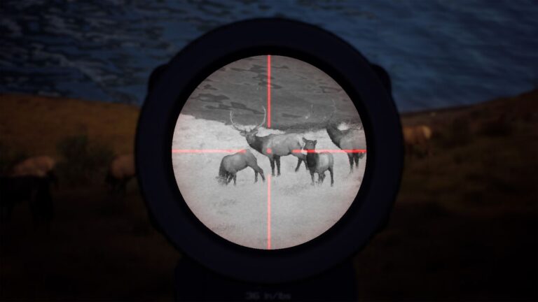 『ウェイ オブ ザ ハンター』新DLCで夜間狩猟追加！販売100万本突破！