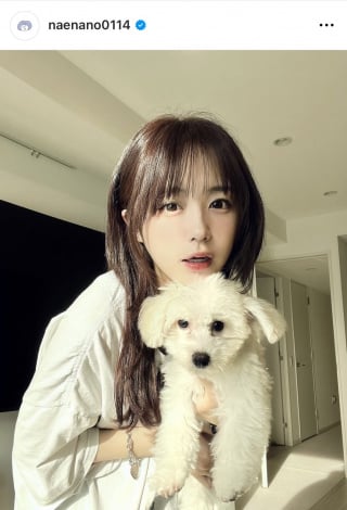 なえなのと愛犬おゆくん