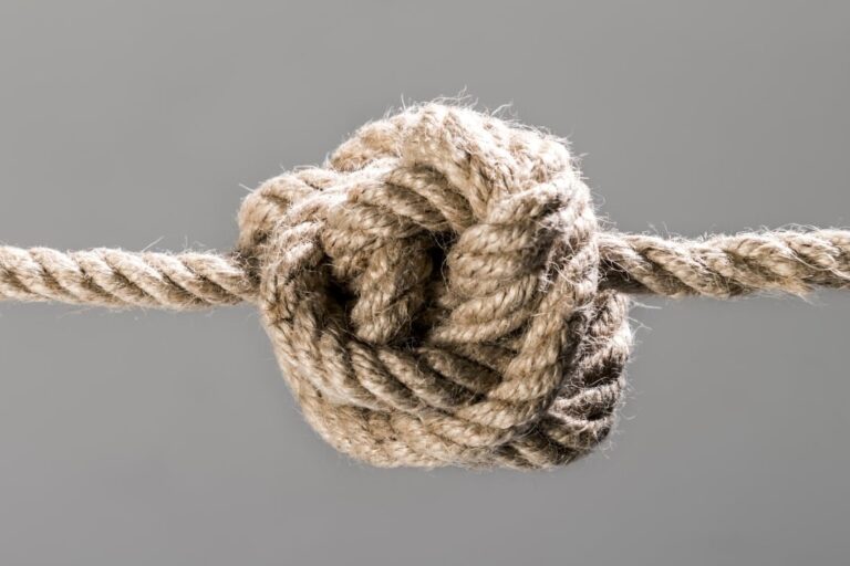 「90年ぶりの数学革命！複雑な結び目、予想外に簡単解法」