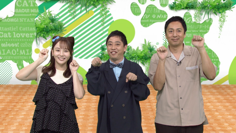 「森千晴、トルコでネコ調査！海外初ロケ」