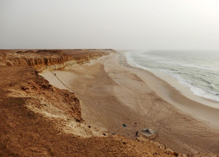 ハリウッド大作、アフリカ撮影に波紋！