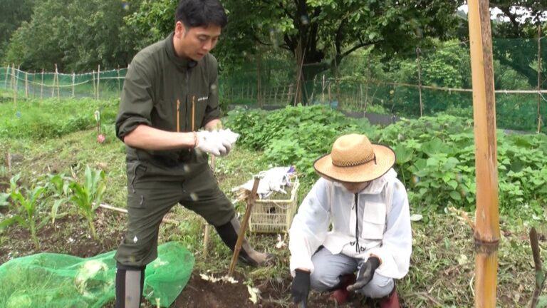 「幻の白ナス」に挑む財前ファミリー！スローライフ密着、特別な植え付け法とは？