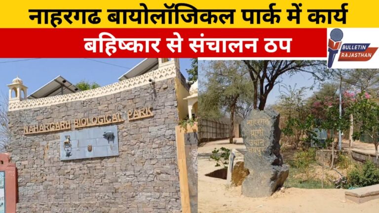 「नाहरगढ़バイオパーク、ストライキで運営停止」