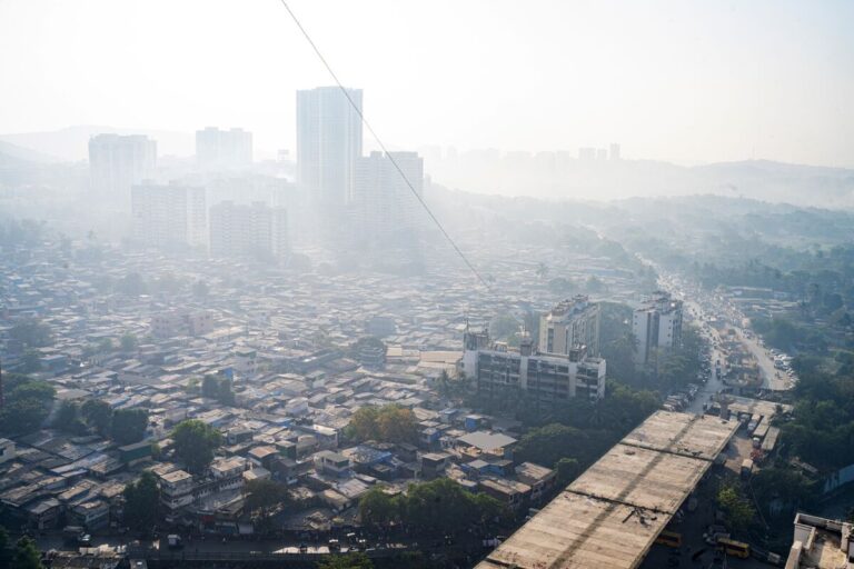 「インド市場のゆがみが生む高収益」