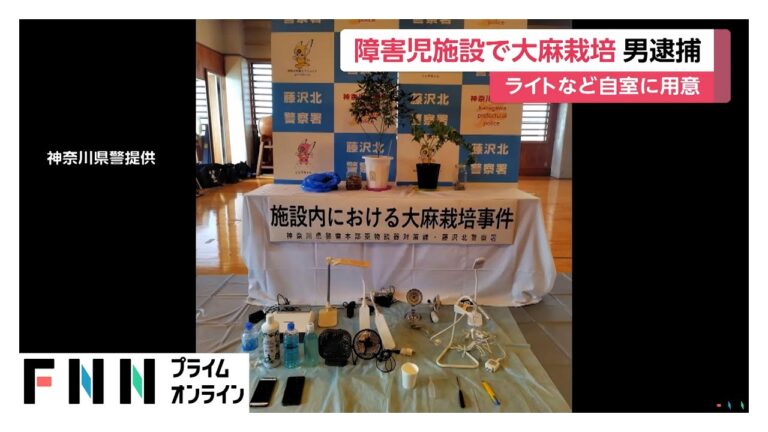 「児童支援施設で大麻栽培！責任者逮捕」