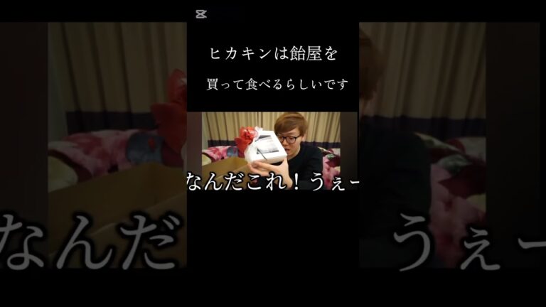 HIKAKINついに飴屋さんを買う？