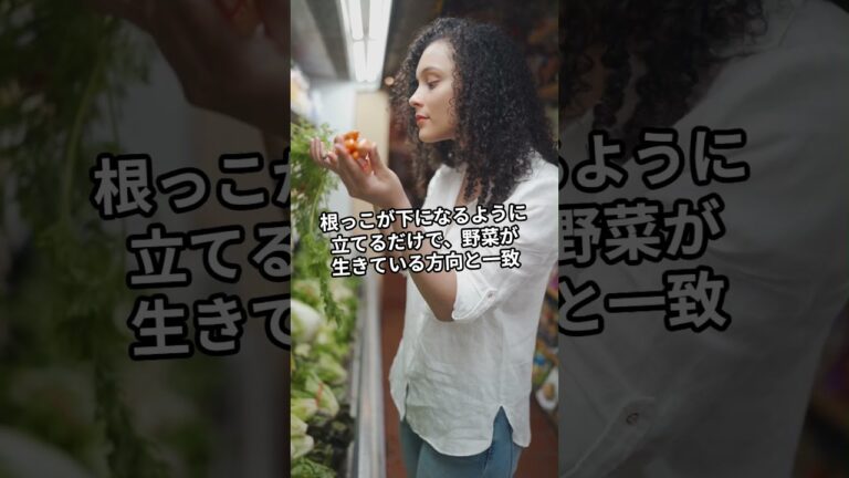 「冷蔵庫の野菜、鮮度キープ術！」