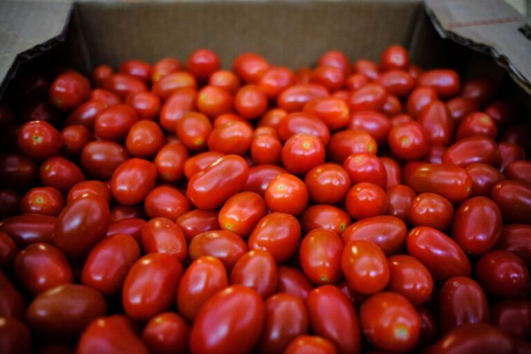 「米、メキシコ産トマトに17％関税！」