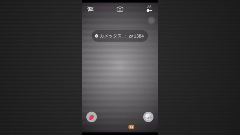 ポケモンGOのレイドバトル中に起きたバグ❓