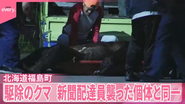 【DNA判明】福島町クマ、新聞配達員襲撃の同一個体