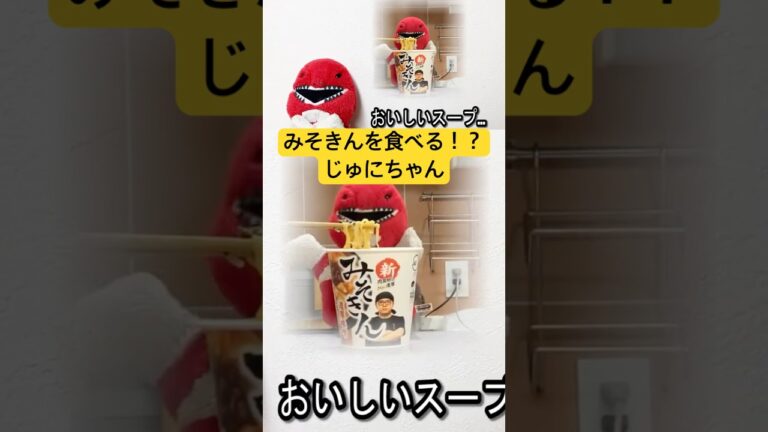 みそきんを食べる！？じゅにちゃん#ぬい活 #ヒカキン #みそきん #リュウジのバズレシピ #料理