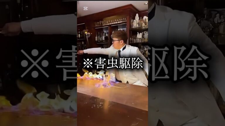 うざいやつに制裁を下すヒカキン