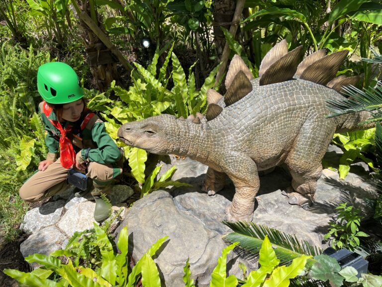 「赤ちゃん恐竜発見！沖縄の冒険」